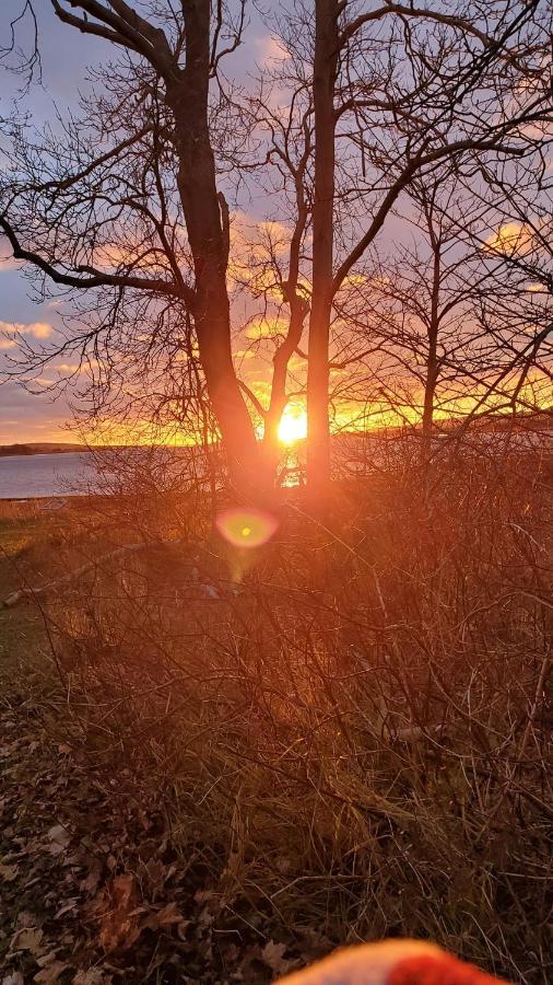 The Lark & Loon Inn Annapolis Royal Ngoại thất bức ảnh